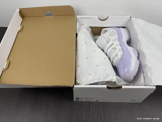 Reps LUCY Pure Violet Air Jordan 11 WMNS AH7860-101 Low 0514